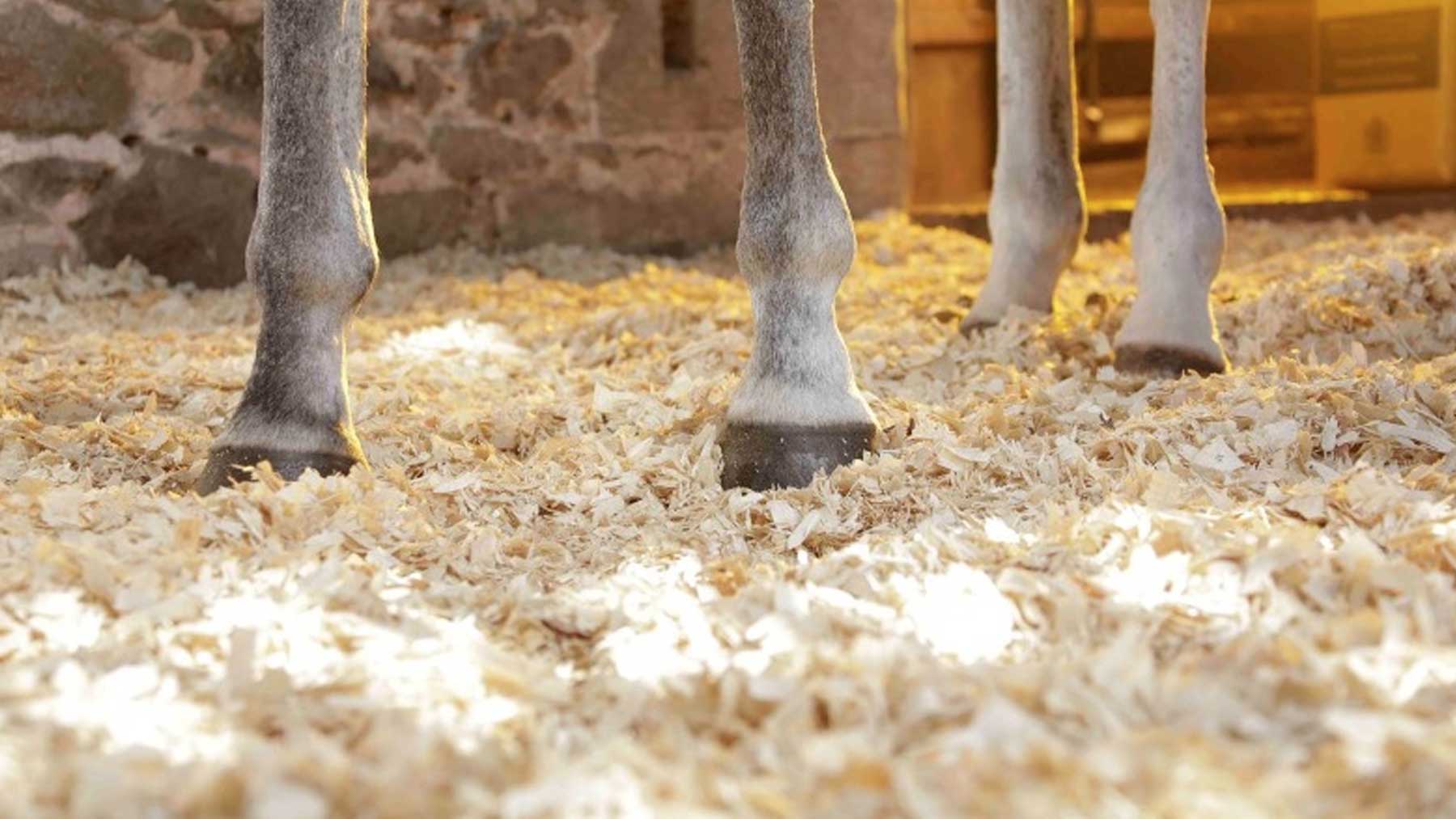 Bedding for horses discount