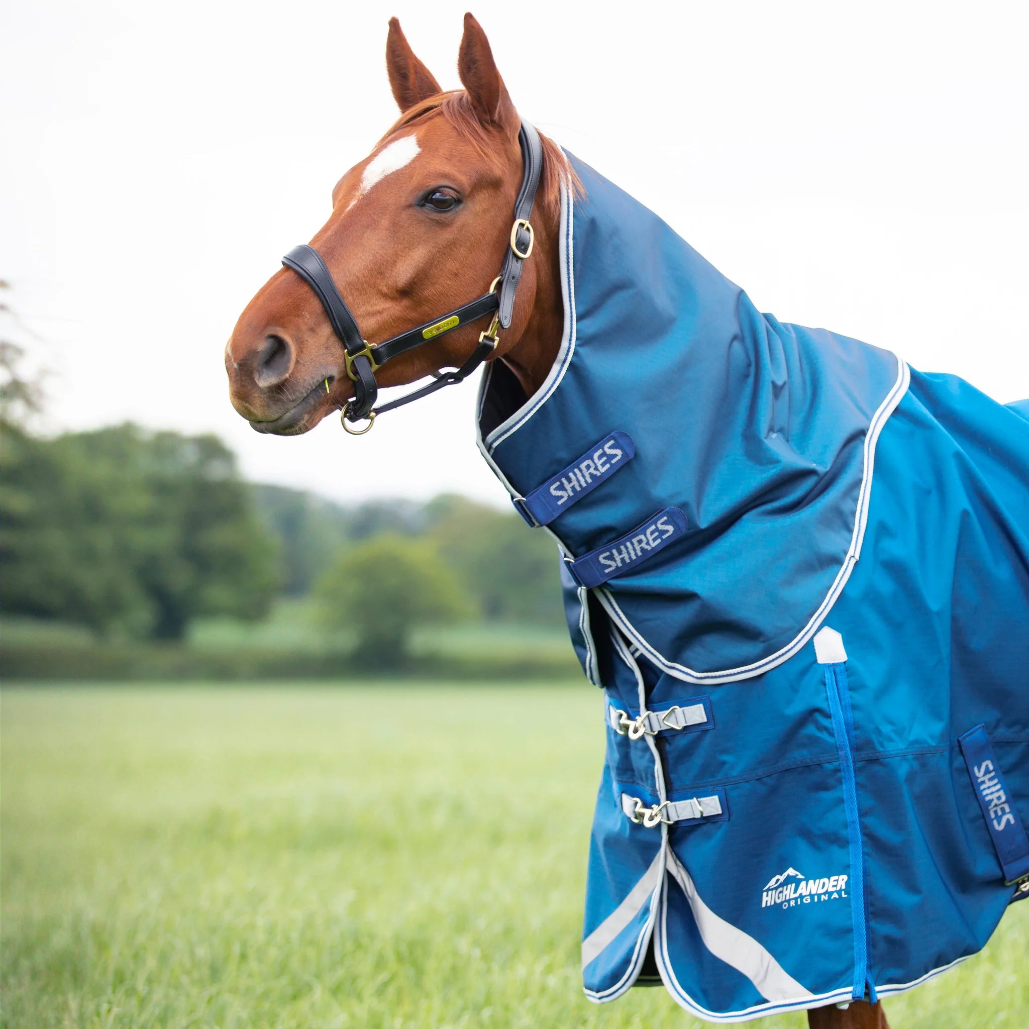 Shires Highlander Original 300 Collo Standard Coperta Per Cavalli 183 Cm Coperta Cavallo 55050010
