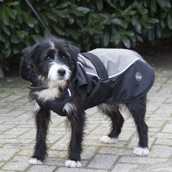 HKM Dog Coat -with Teddy Fur Collar-