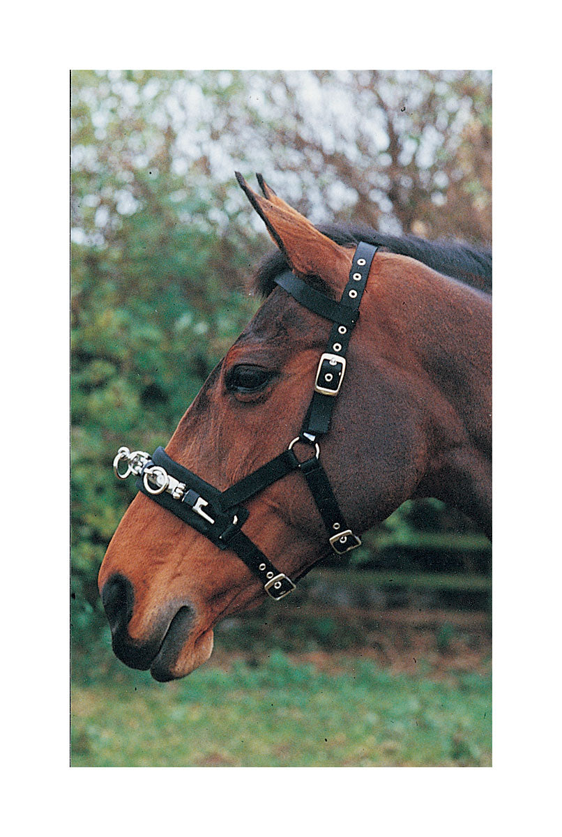 Hy Lunge Cavesson - Black