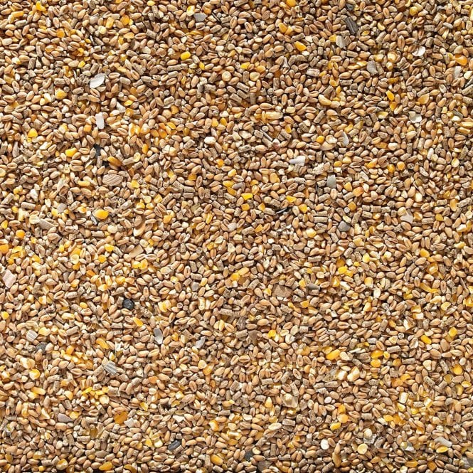 Johnston & Jeff Poultry Corn 5kg