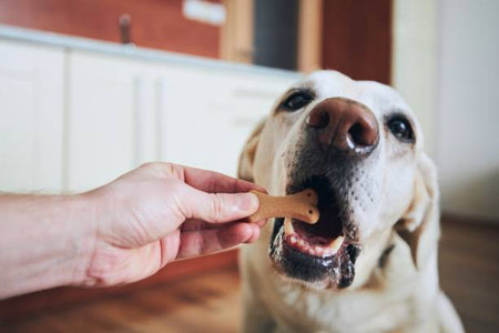 Dog Treats