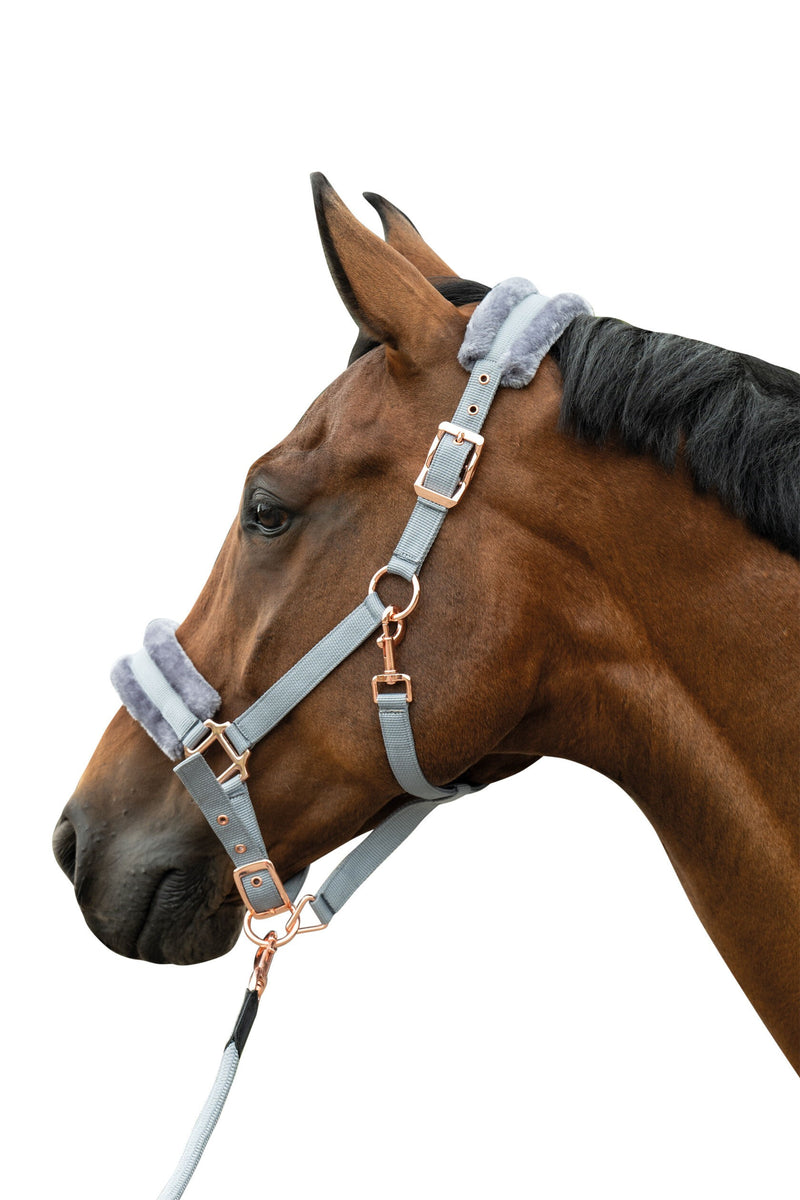 HKM Head Collar -Rosegold Glamour- Style -