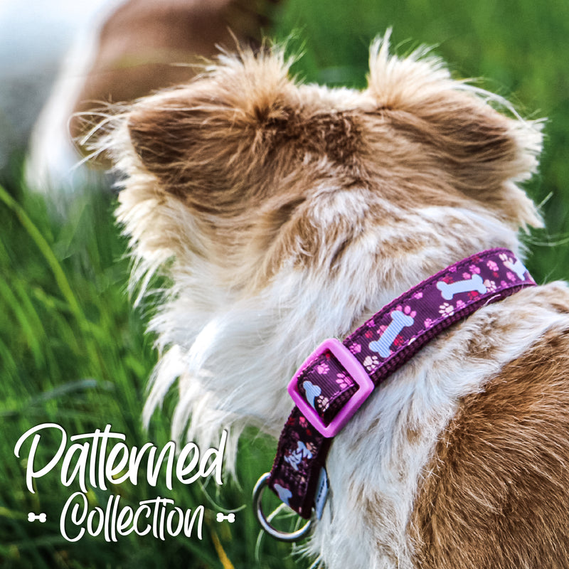 Ancol Purple Bones Dog Collar