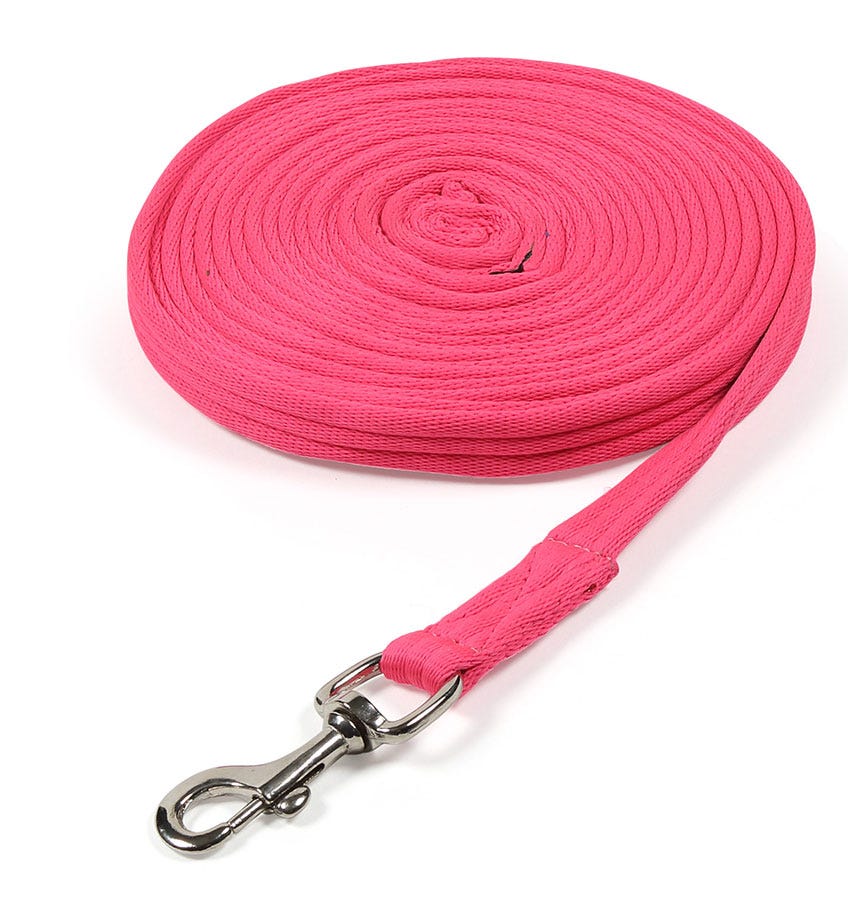 Shires ARMA Cushion Web Lunge Line - 8m