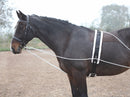 ARMA Lunging Aid - Black