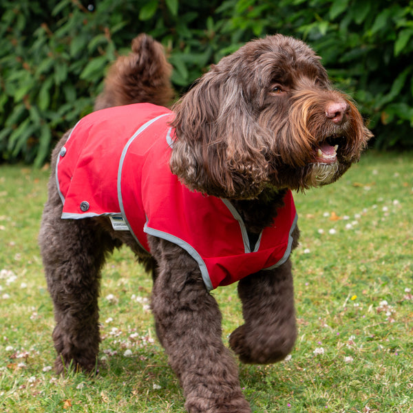 Stormguard Soft Shell Coat 100% Waterproof - Bordeaux