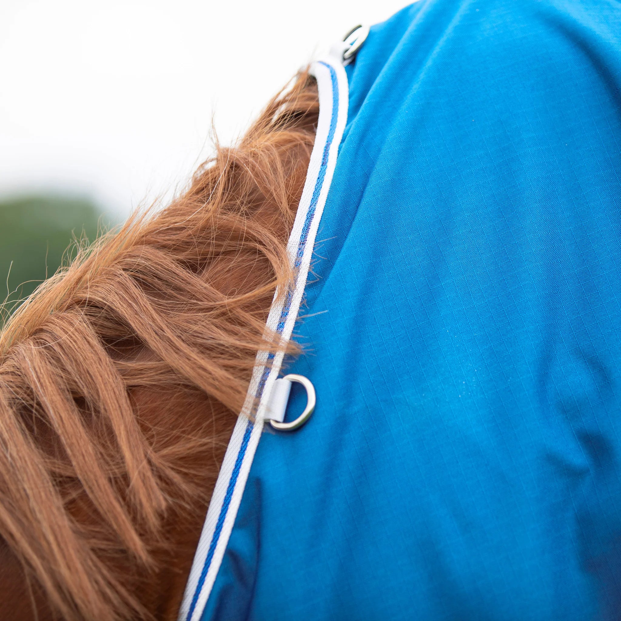 Shires Highlander Original 200 Turnout Rug