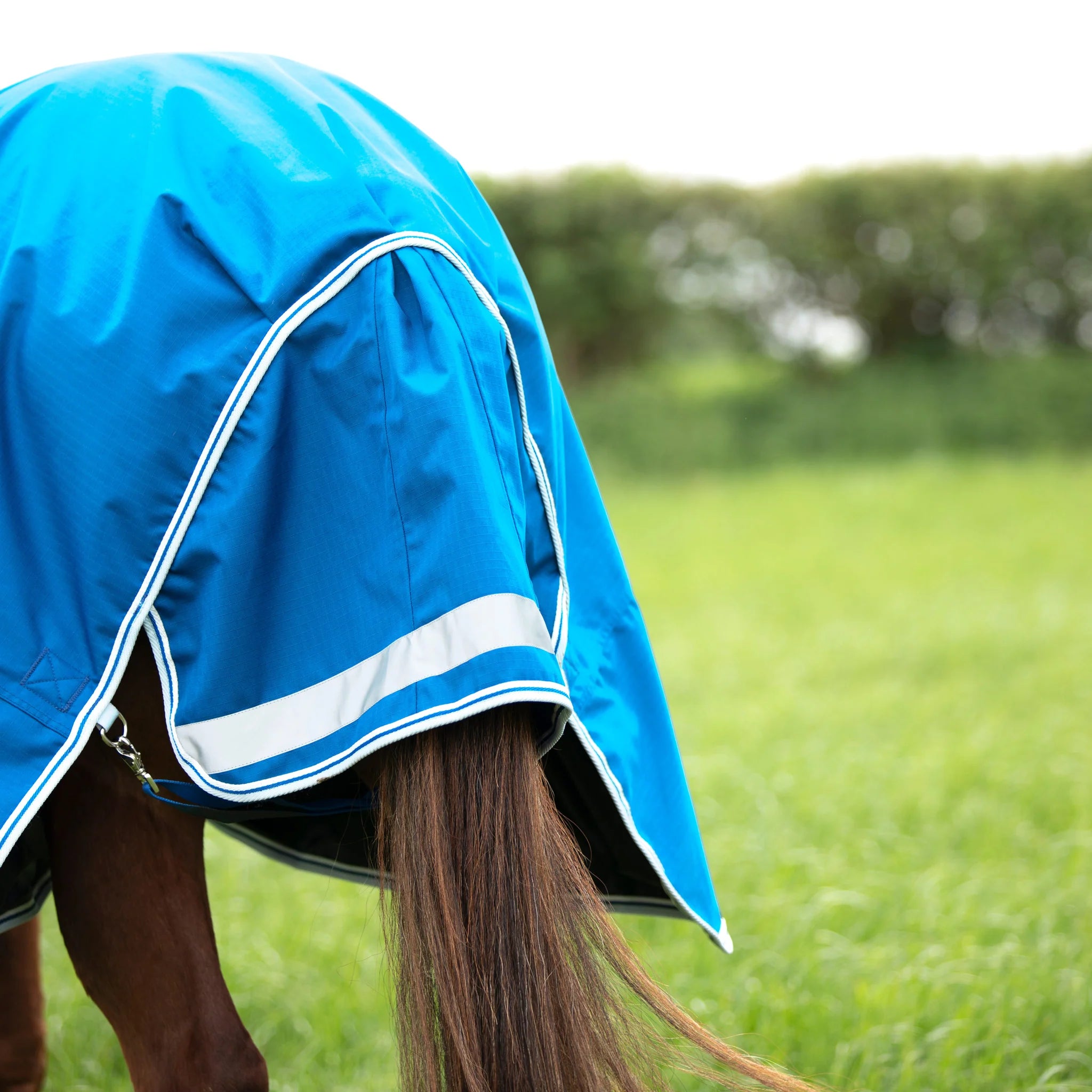 Shires Highlander Original 200 Turnout Rug