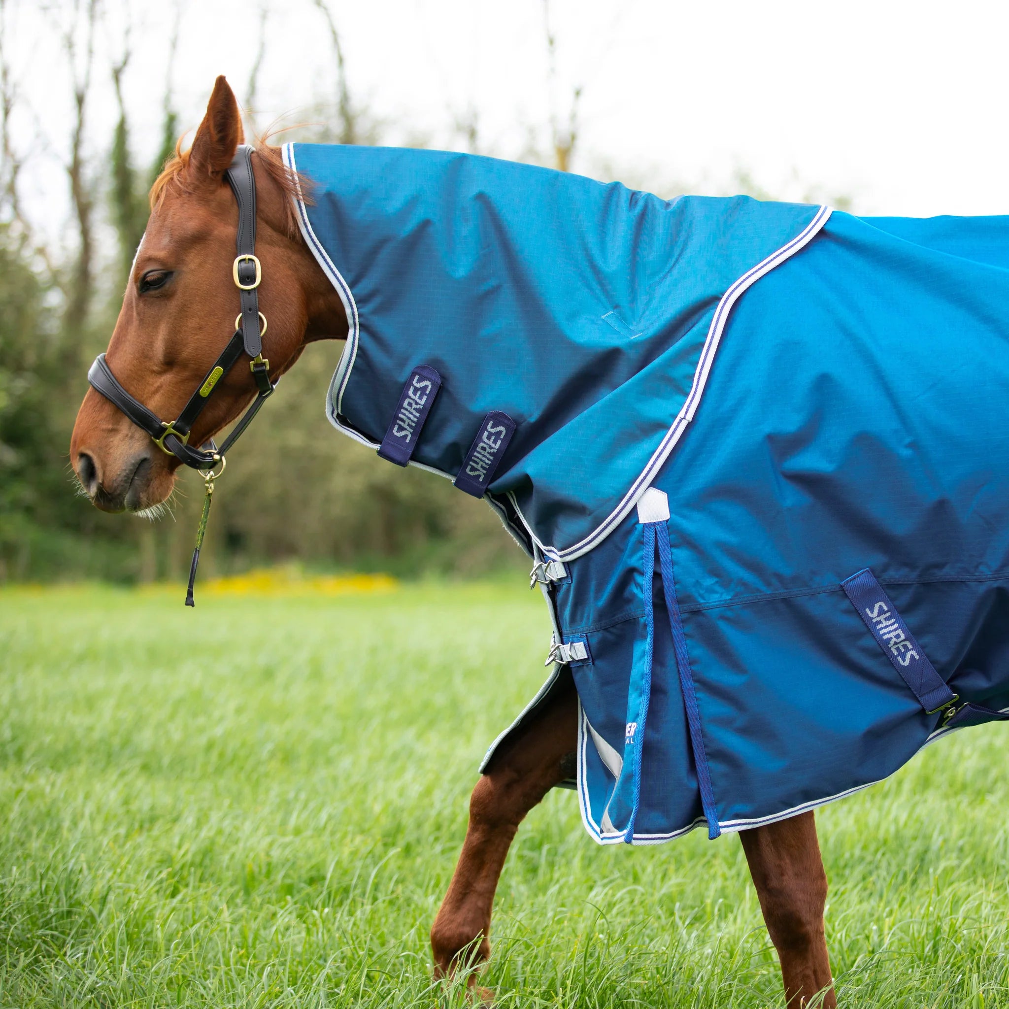 Shires Highlander Original 200 Turnout Neck Cover