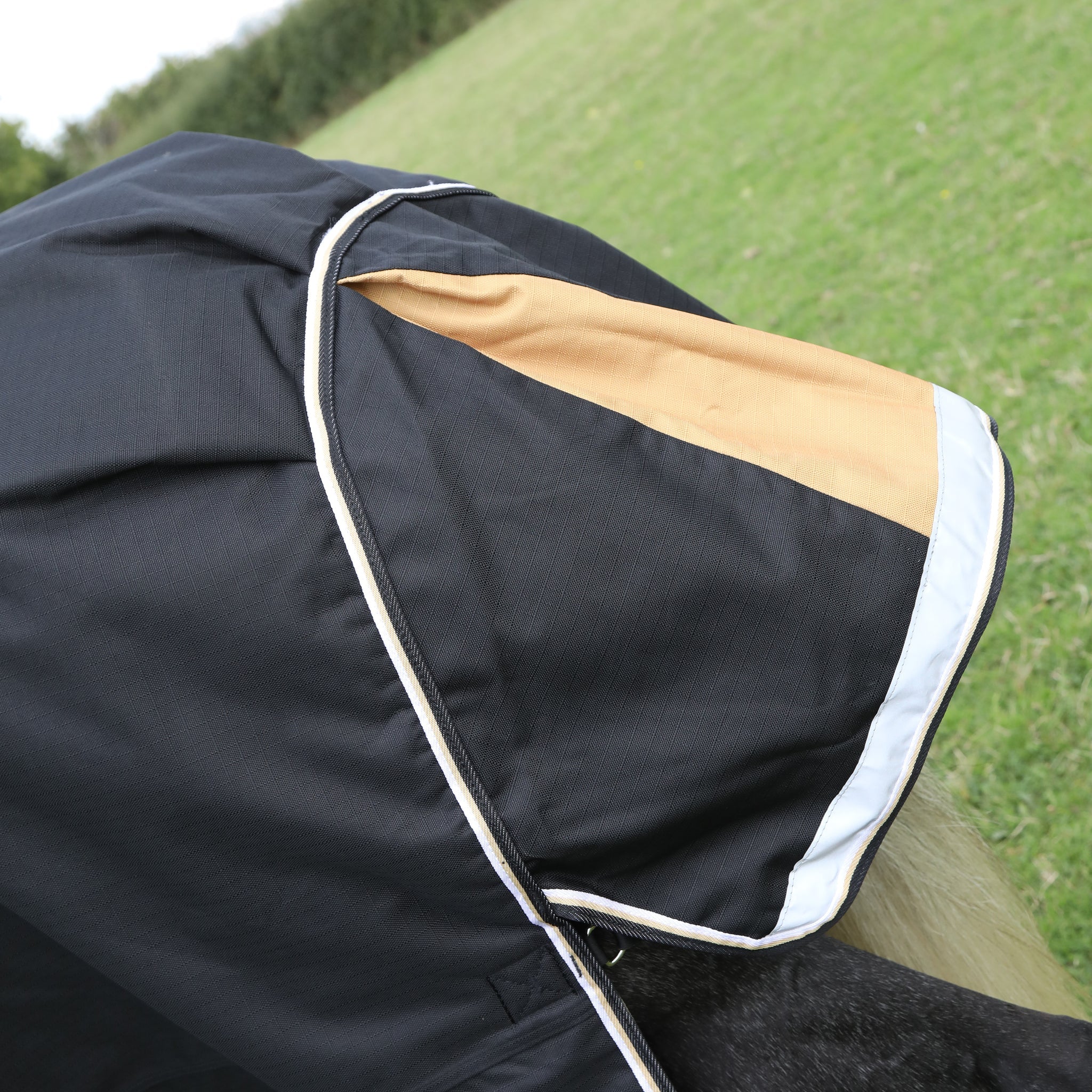 Shires Highlander Plus 200 Turnout Rug & Neck Set