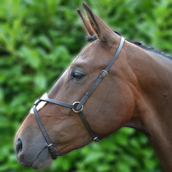 Hy Equestrian Mexican Grackle Noseband