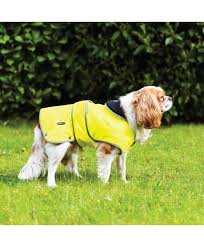 Stormguard Hi-Viz Dog Coat