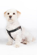 HKM Dog Harness -Anam Cara- Nylon -