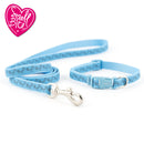 Ancol Paw & Bone Collar & Lead Set