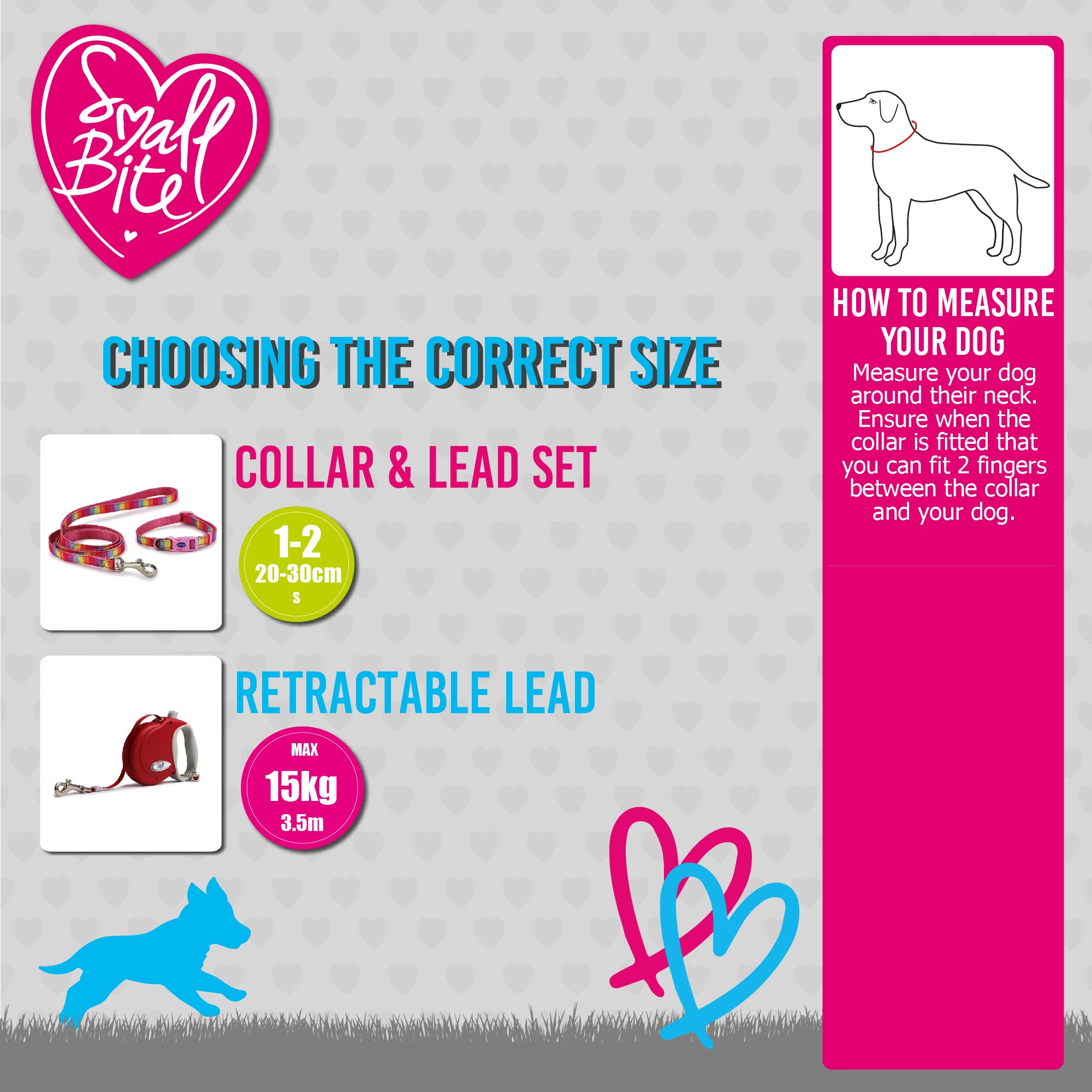 Ancol Deluxe Jewel Collar & Lead Set