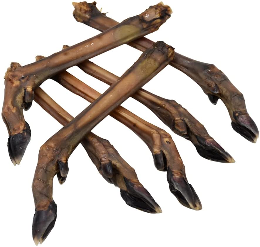 Antos Roe Deer Legs