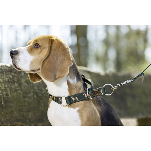 HKM Dog Collar Beagle - Deep Green
