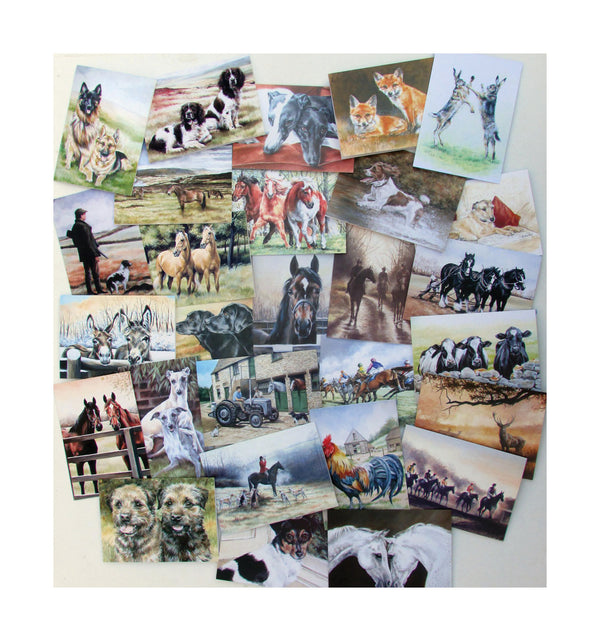 Equestrian & Countryside Cards