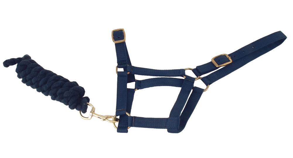 Harlequin Headcollar & Rope Set