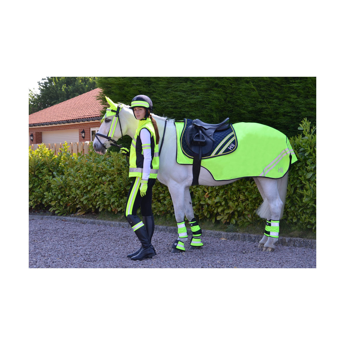 HyViz Reflector Mesh Exercise Sheet