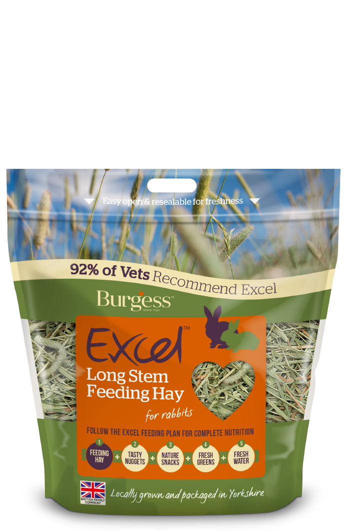 Excel Long Stem Hay 1kg
