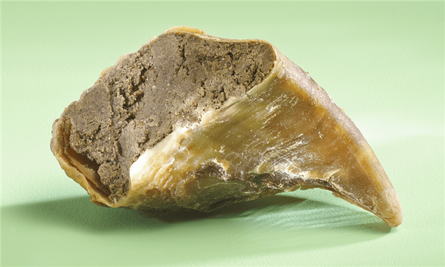 Antos Meat Filled Hooves