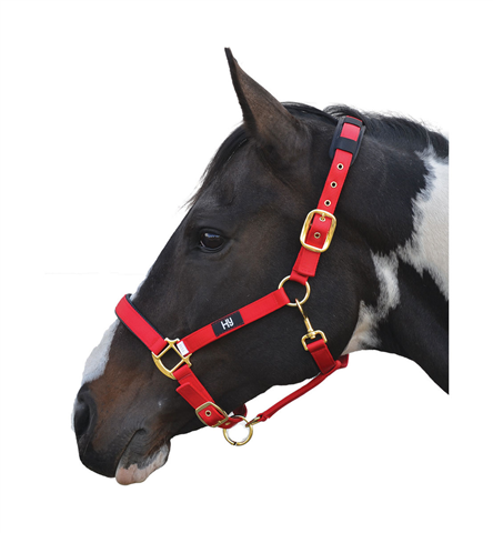 Hy Deluxe Padded Headcollar Red