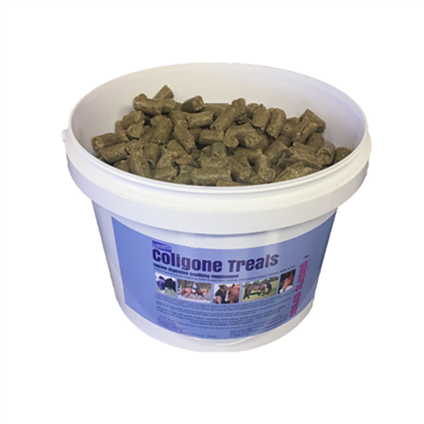 H.Bradshaw's Coligone Treats 3kg