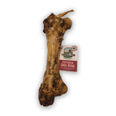 Antos Dino Bone