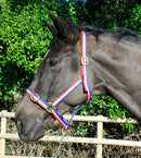 Rhinegold Nylon Headcollar - Shetland