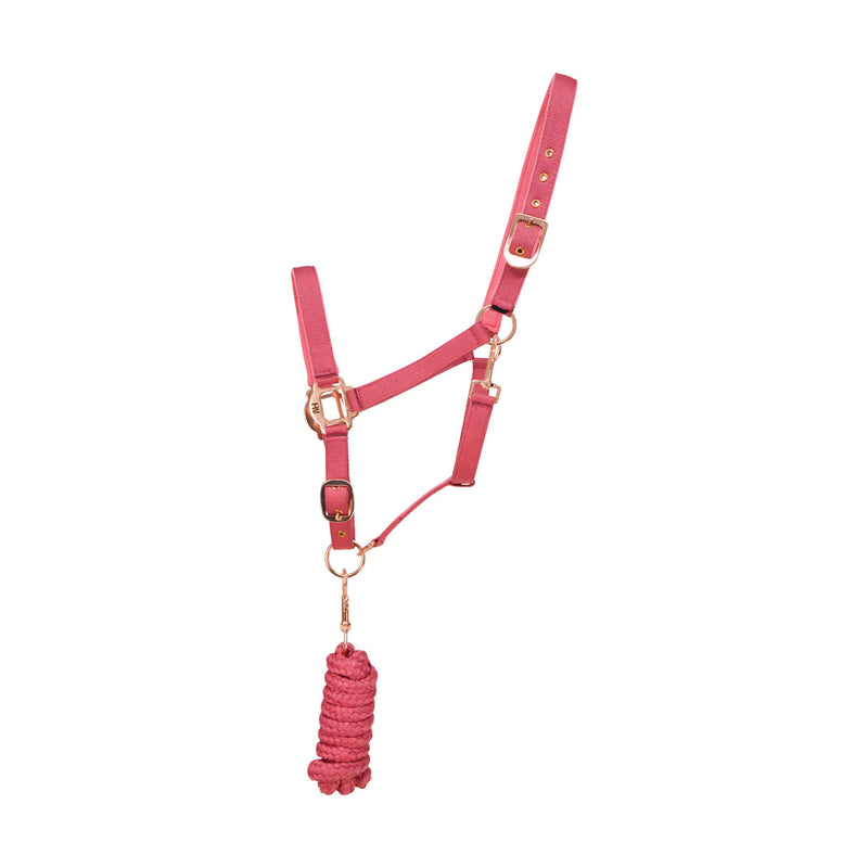 Hy Rose Gold Headcollar & Lead Rope Pink