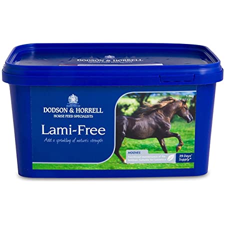 Dodson & Horrell Lami-Free 1.5Kg