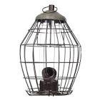 Peckish Squirrel Proof Seed Feeder