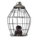 Peckish Squirrel Proof Seed Feeder