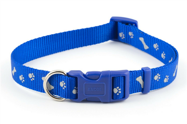 Nylon Adjustable Reflective Collar Paw N Bone - Blue