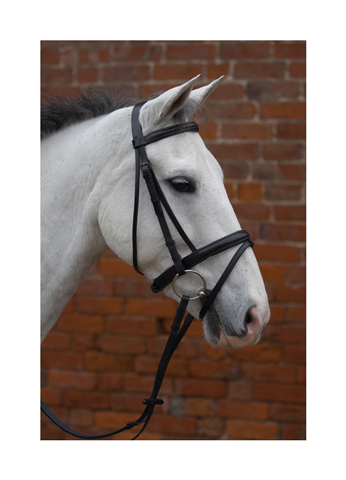 Hy Equestrian Flash Bridle Rubber Grip Reins