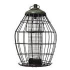 Peckish Squirrel Proof Peanut Feeder