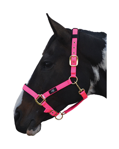 Hy Deluxe Padded Headcollar Hot Pink
