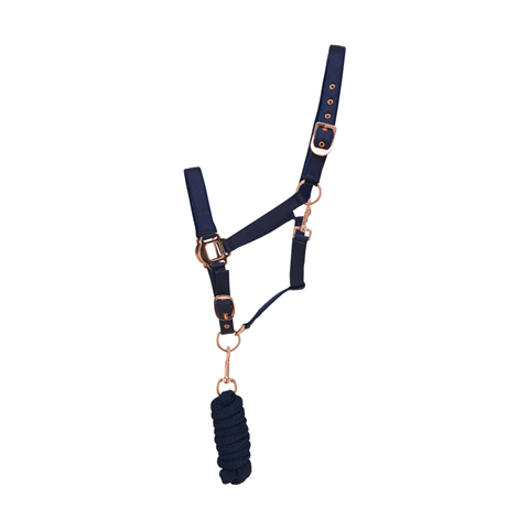 Hy Rose Gold Headcollar & Lead Rope Navy