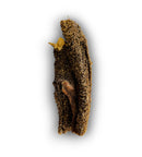 Anco Naturals Goat Tripe 100g