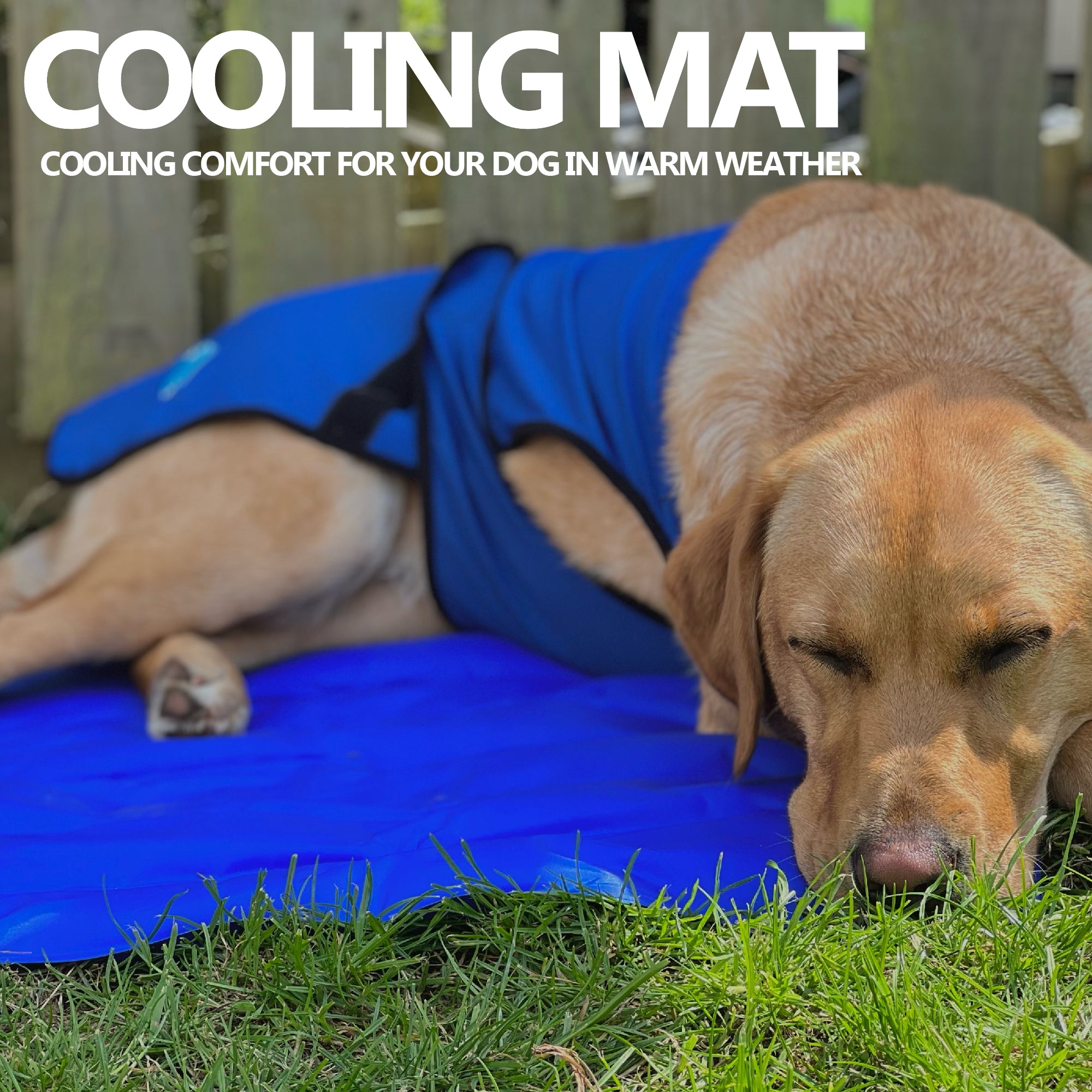 Ancol Cooling Mat Med
