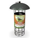 Peckish Secret Garden Energy Ball Feeder