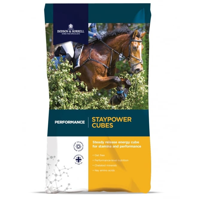 Dodson & Horrell Staypower Cubes