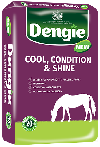 Dengie Cool Condition Shine