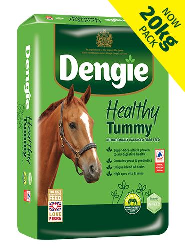 Dengie Healthy Tummy Now 20kg