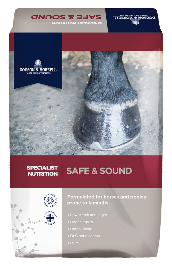Dodson & Horrell Safe & Sound