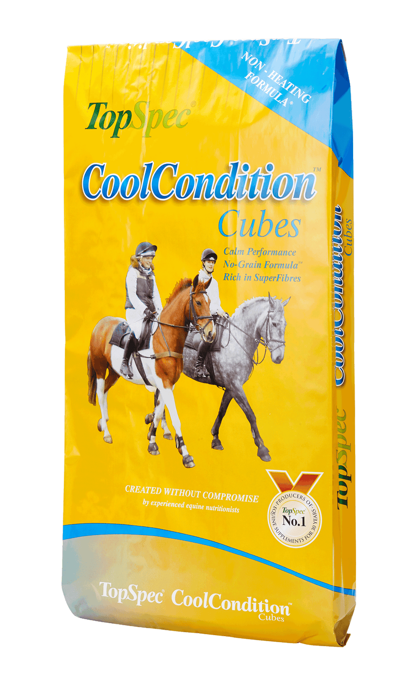 Topspec Cool Conditioning Cubes