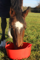 Small Shallow Gorilla Tub 15L