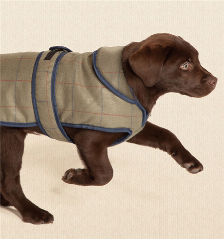 Danish Design Tweed Dog Coat